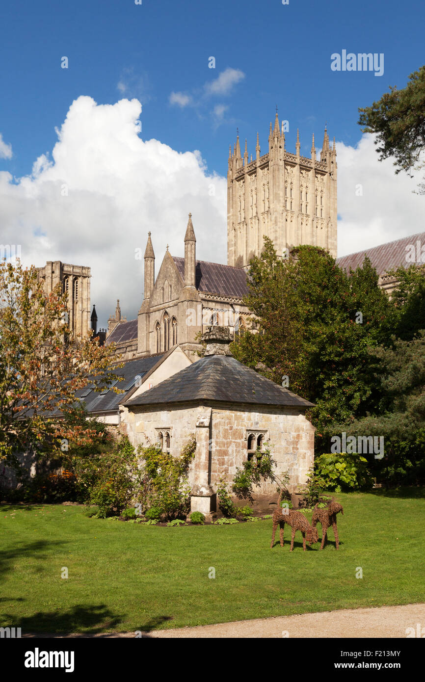Cattedrale di Wells e la casa ben visto dai vescovi nei giardini del palazzo, Pozzi city centre, Somerset REGNO UNITO Foto Stock