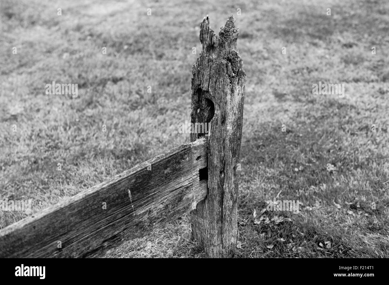 Vecchio paletto di legno nel cimitero Hertfordshire Foto Stock