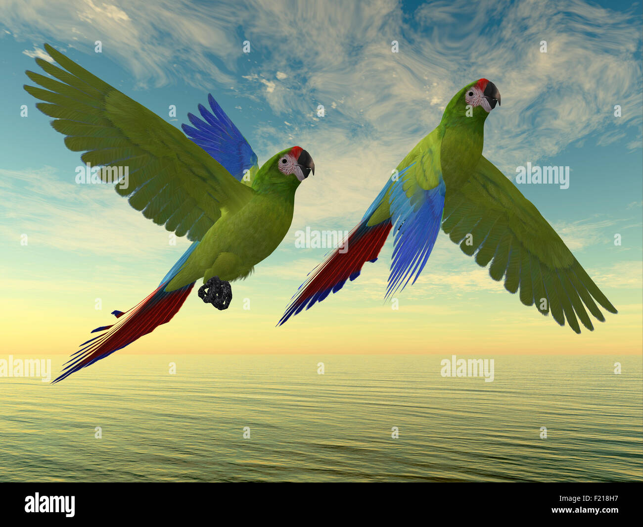 Il militare Macaw è un grande pappagallo e si trova in Messico e America del Sud. Foto Stock