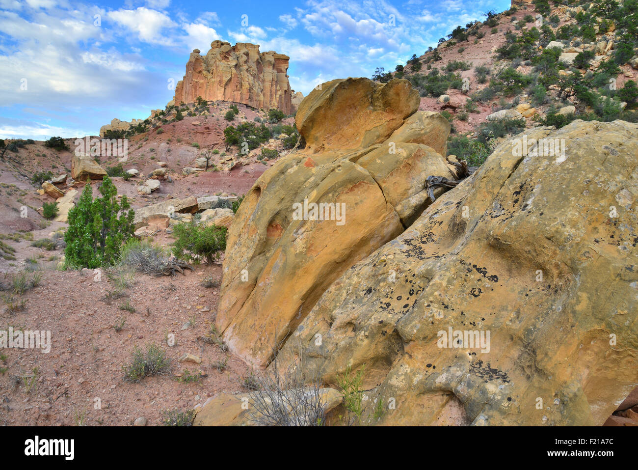 Le pareti del canyon lungo Burr Trail Road (Boulder Notom Road) in grande scala Escalante monumento nazionale nel sud dello Utah Foto Stock