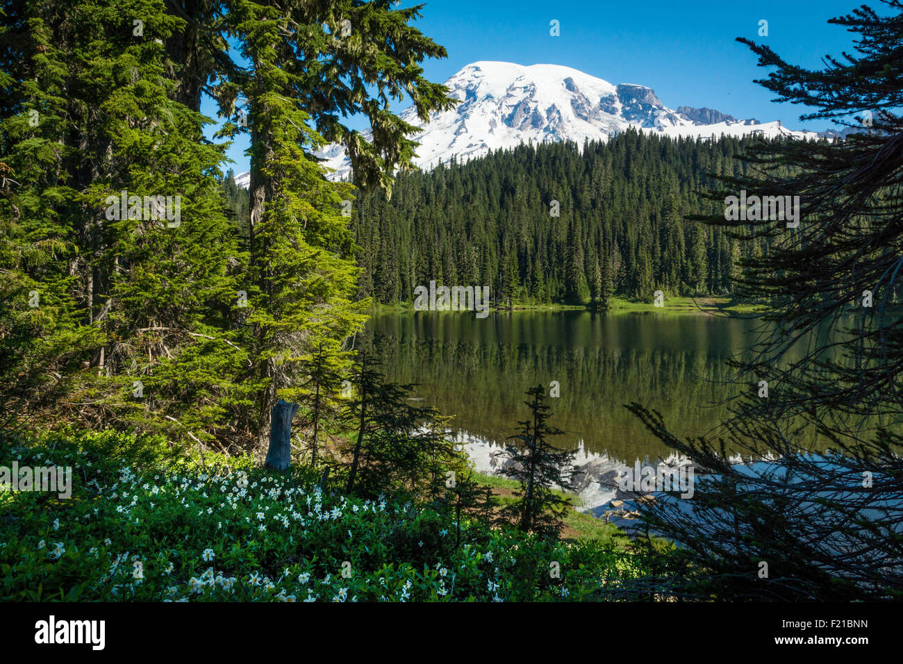 Lago di riflessione, Mt. Rainier. Foto Stock