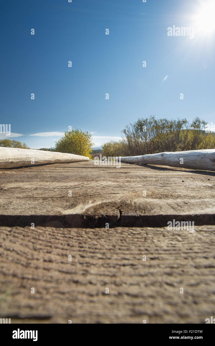 Paesaggio e legno ponte sul torrente nel Parco Nazionale di Yellowstone. Foto Stock