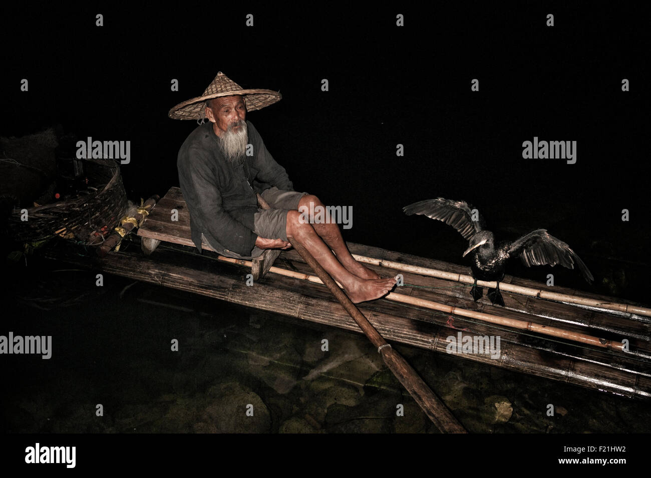 Cormorano uccello si stende le sue ali accanto a un pescatore seduto su di una zattera di bamboo di notte sul fiume Li, Cina e Asia Foto Stock