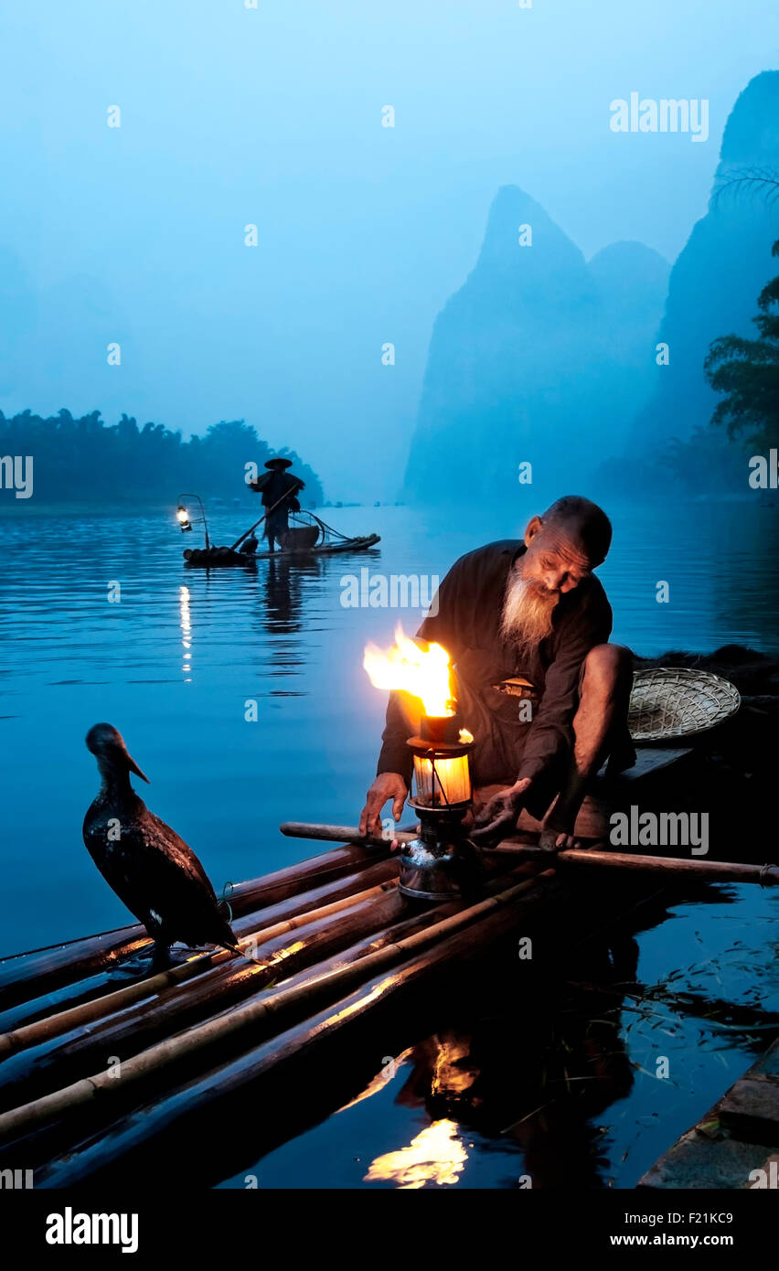 Cormorano cinese pescatore si accende la lanterna all'alba, il Fiume Li, Xingping, Cina e Asia Foto Stock