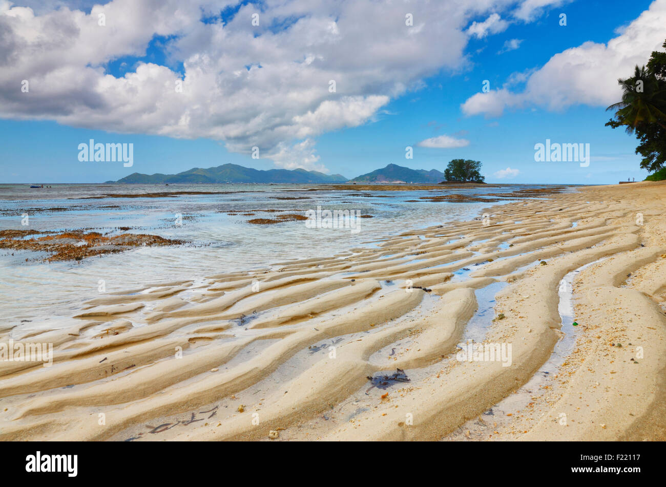 Dune di sabbia sulla spiaggia, isola di La Digue e le Seicelle. Foto Stock