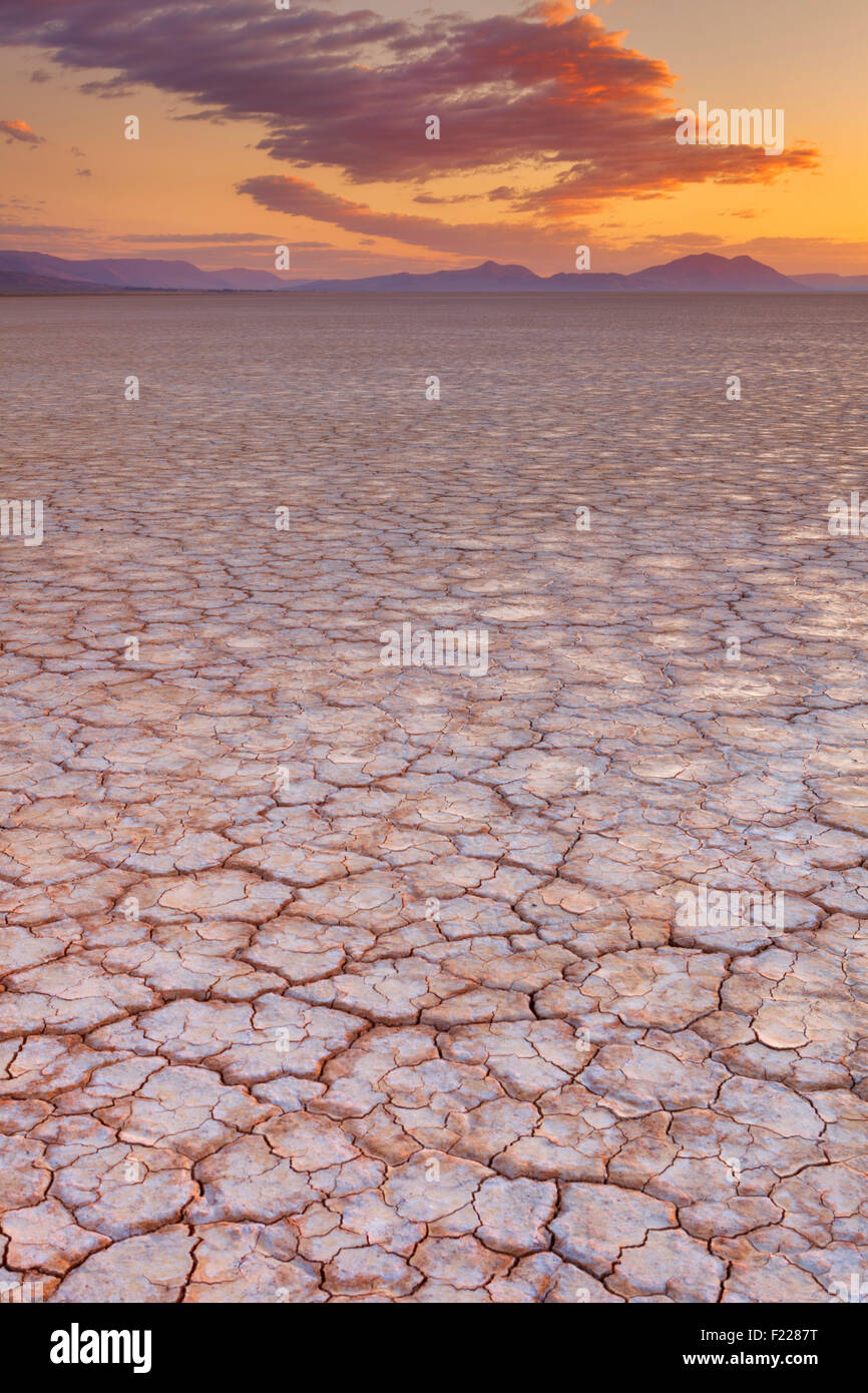 Massa rotto nel Alvord Playa, un dry lakebed nel deserto Alvord nel sud-est della Oregon, Stati Uniti d'America. Fotografato a sunrise. Foto Stock
