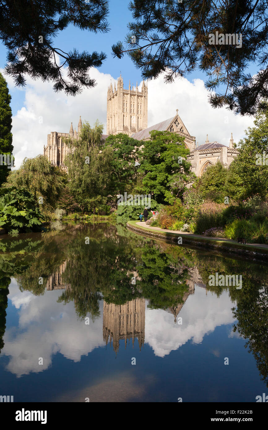 Cattedrale di Wells vista osservata dal pozzetto per piscine di vescovi nei giardini del palazzo, pozzi, Somerset England Regno Unito Foto Stock Cattedrale di Wells vista osservata dal pozzetto per piscine di vescovi nei giardini del palazzo, pozzi, Somerset England Regno Unito Foto Stock