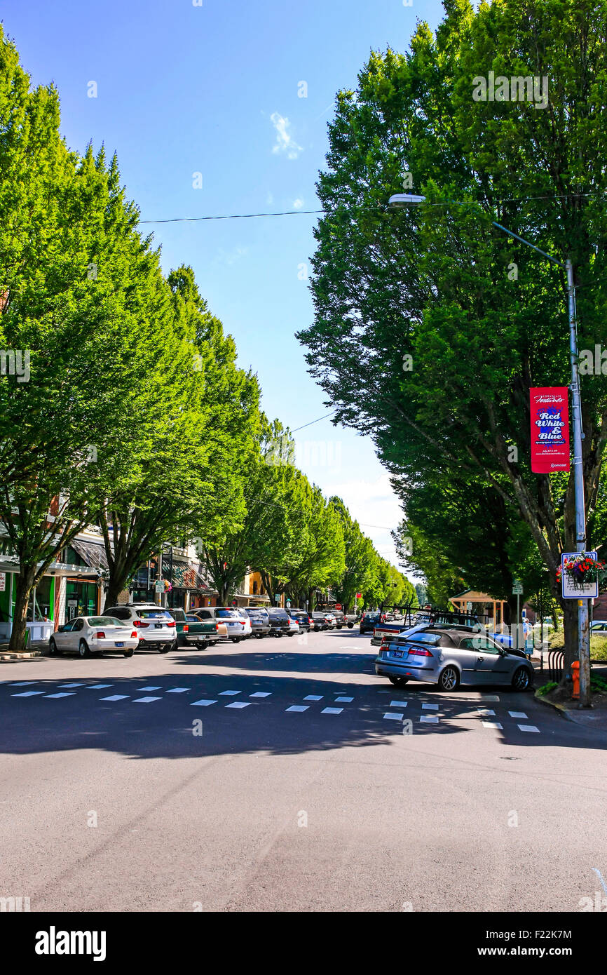 Vista l'alberato seconda strada in CORVALLIS, OREGON Foto Stock