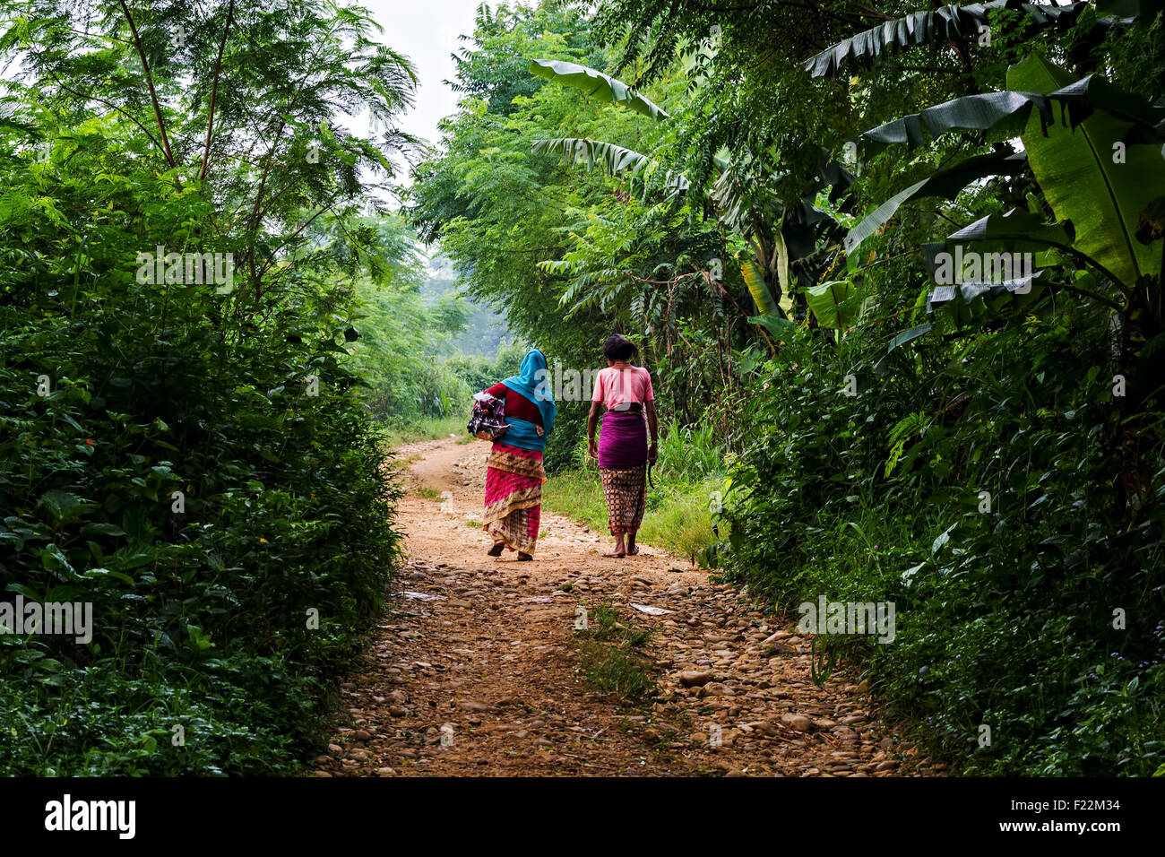 Due persone di mezza età contadino Nepalese donne percorrendo a piedi su un sentiero forestale Foto Stock