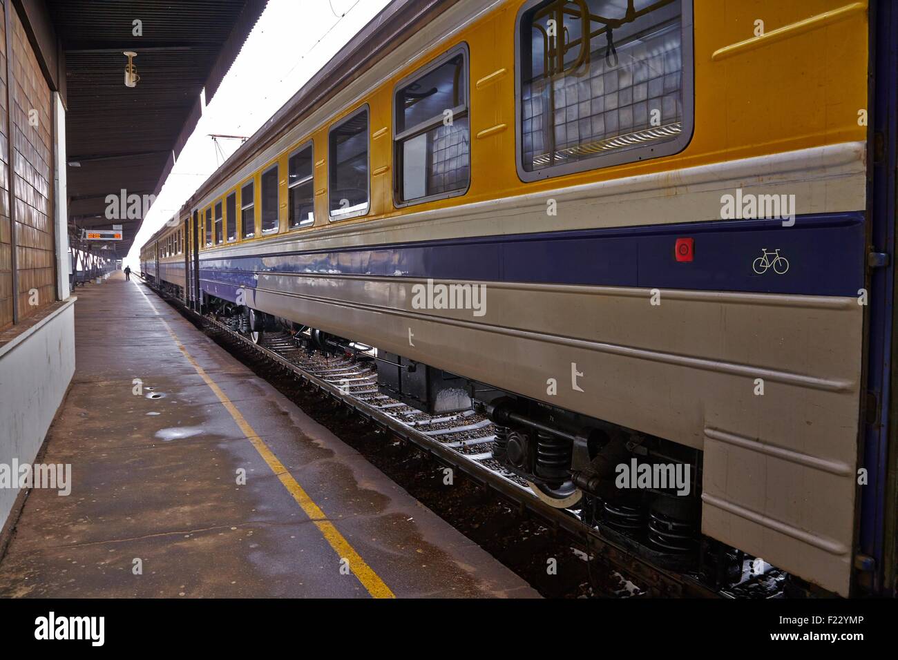 Treni in stazione Foto Stock