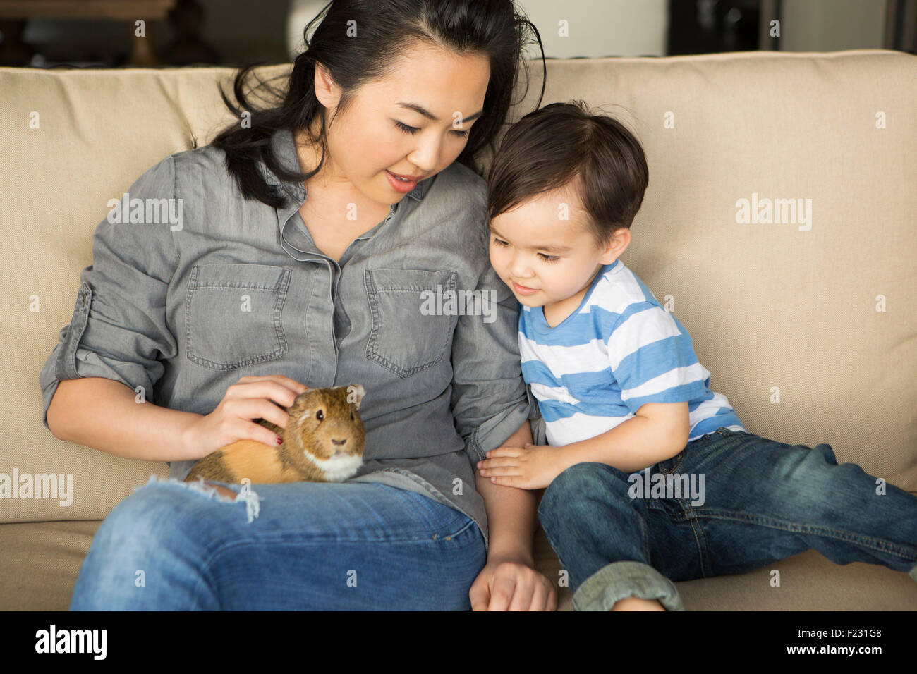 Donna sorridente seduto su un divano, una cavia seduta sul suo giro, il suo giovane figlio guardando. Foto Stock