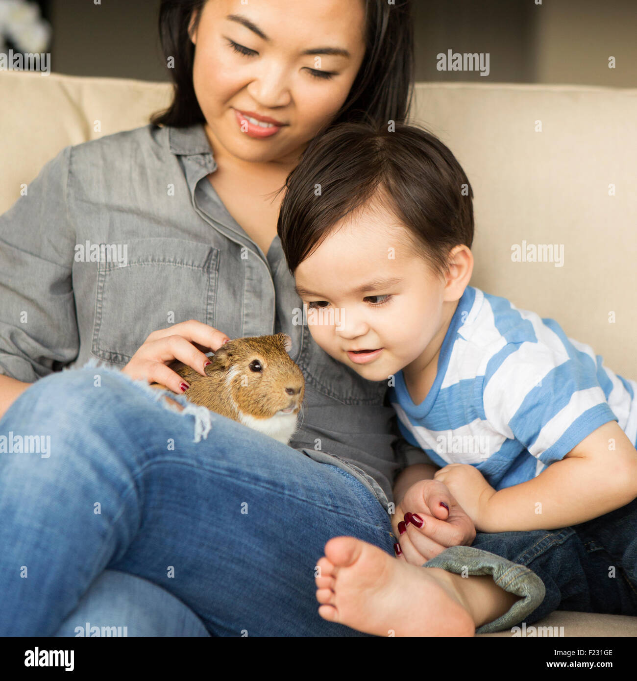 Donna sorridente seduto su un divano con un cavia seduta sul suo giro, il suo giovane figlio guardando. Foto Stock