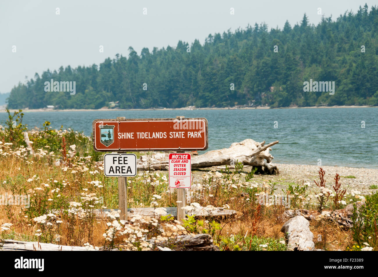 Bywater Bay in Shine Tidelands parco dello stato di Washington, Stati Uniti d'America Foto Stock