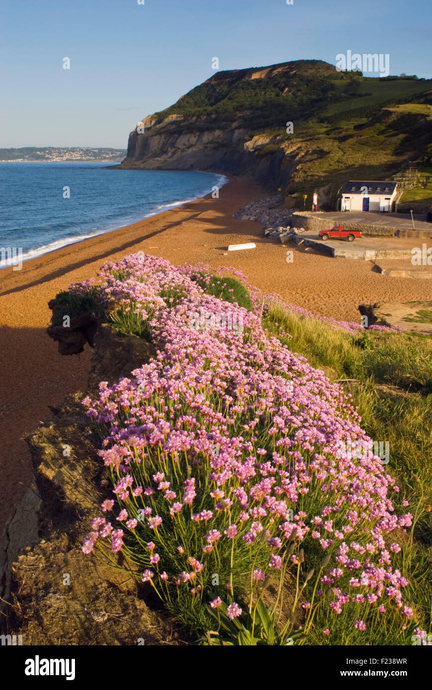 Golden Cap su Dorset la Jurassic Coast visto da Seatown, England, Regno Unito Foto Stock