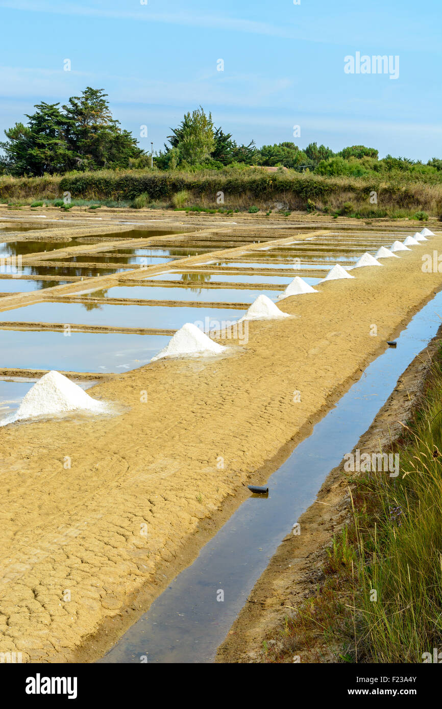 Port des salines, Oleron, Charente Maritime, Francia Foto Stock