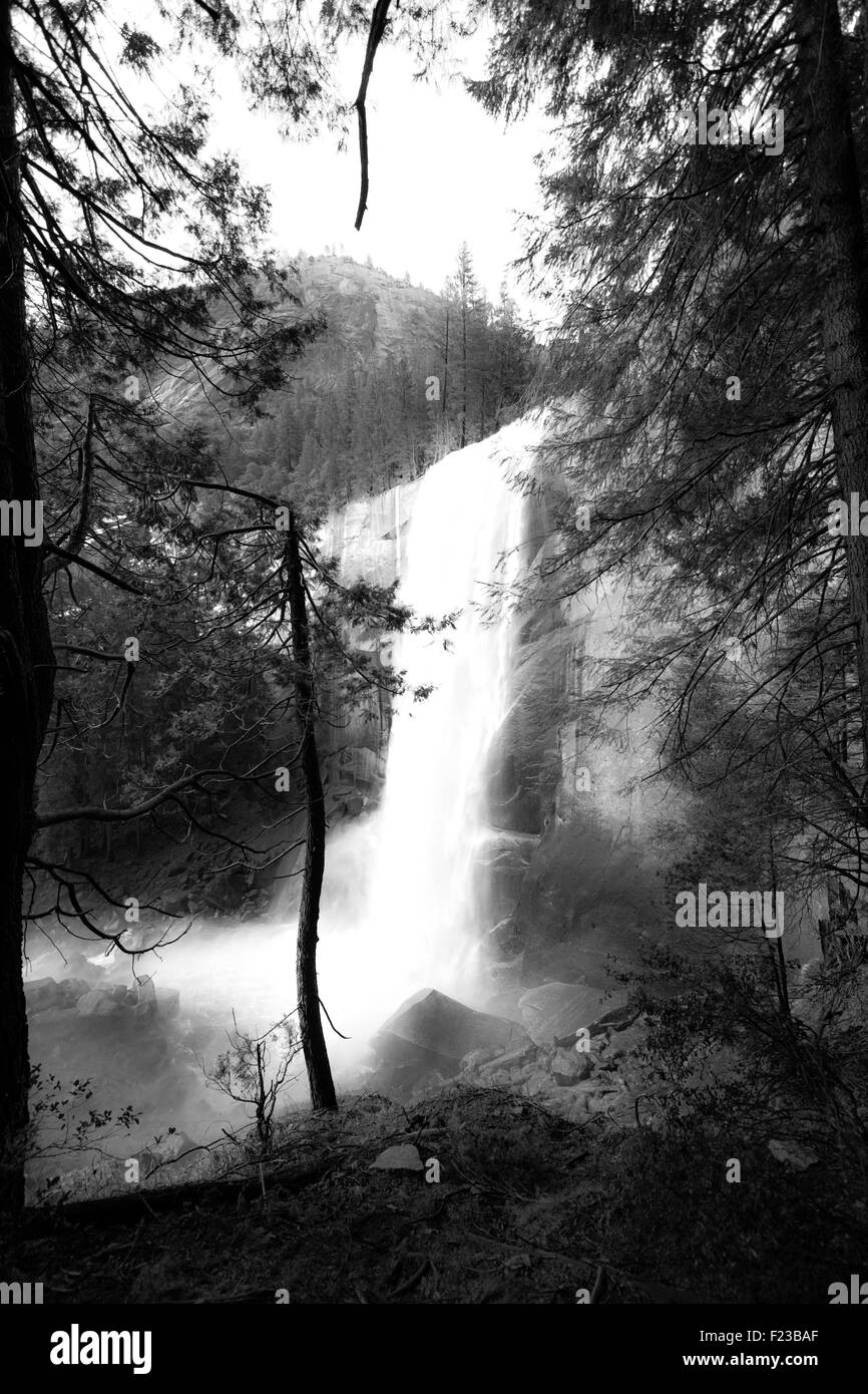 Angolo di alta vista di una cascata in una foresta, primaverile, cascate Yosemite National Park, California, Stati Uniti d'America Foto Stock