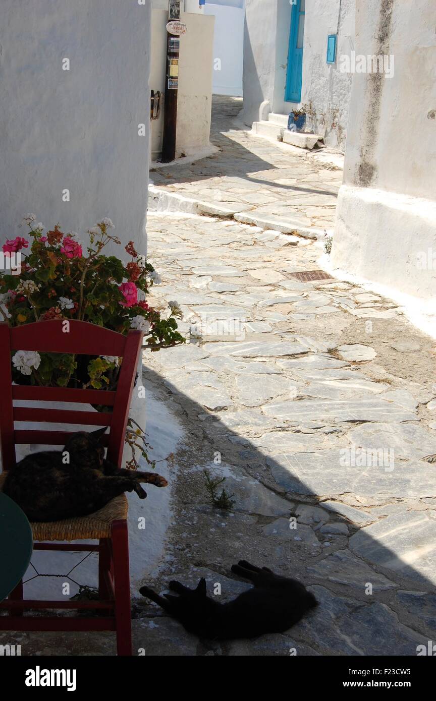 Street nella Chora di Amorgos un'isola greca delle Cicladi Foto Stock