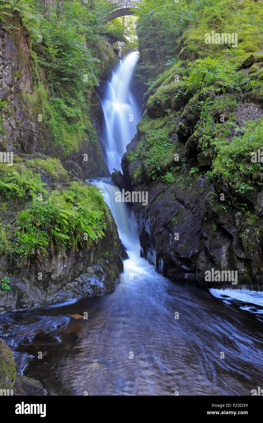 Aira Force cascata, una proprietà del National Trust, Cumbria, Parco Nazionale del Distretto dei Laghi, Inghilterra, Regno Unito. Foto Stock
