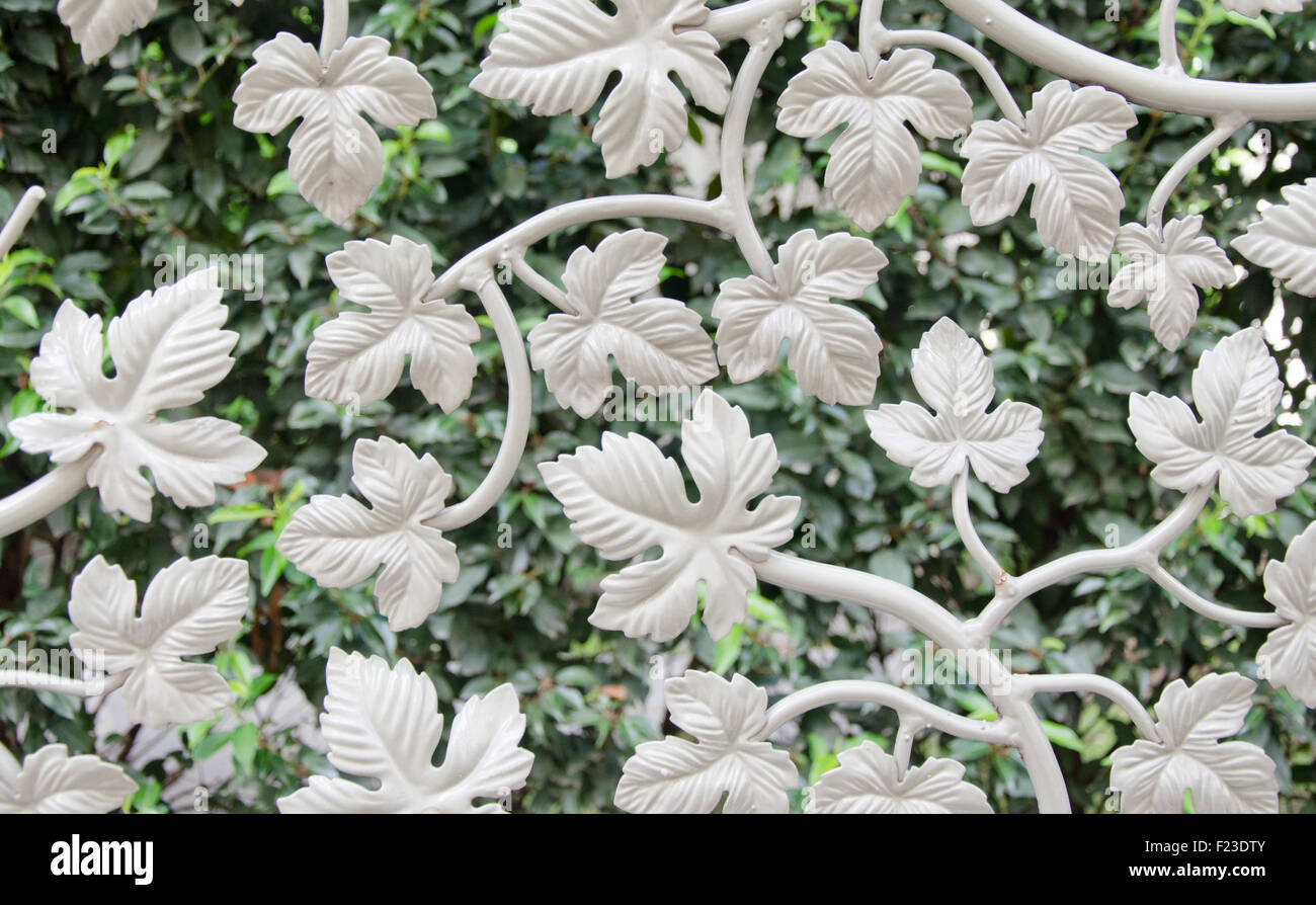 Bianco Decorazione floreale su sfondo verde Foto Stock