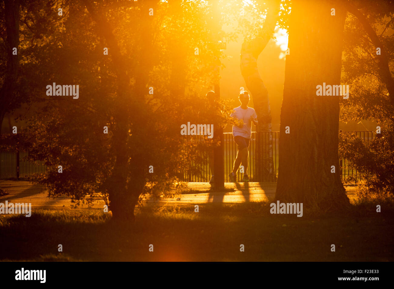 La mattina presto in un parco di Londra Foto Stock La mattina presto in un parco di Londra Foto Stock