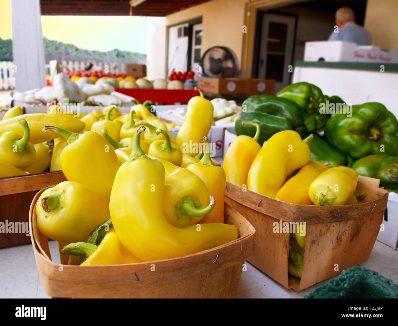 Cestini di un bel colore giallo peperoni banana per la vendita in una farm locale mercato. Foto Stock