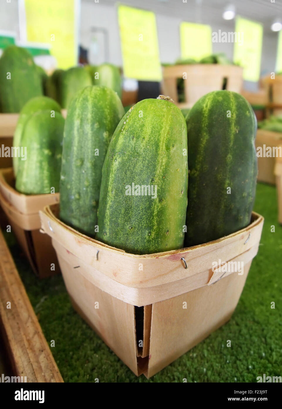 Cestelli rustico di fresco raccolte organiche, green cetrioli in vendita presso il locale mercato agricolo in campagna. Foto Stock