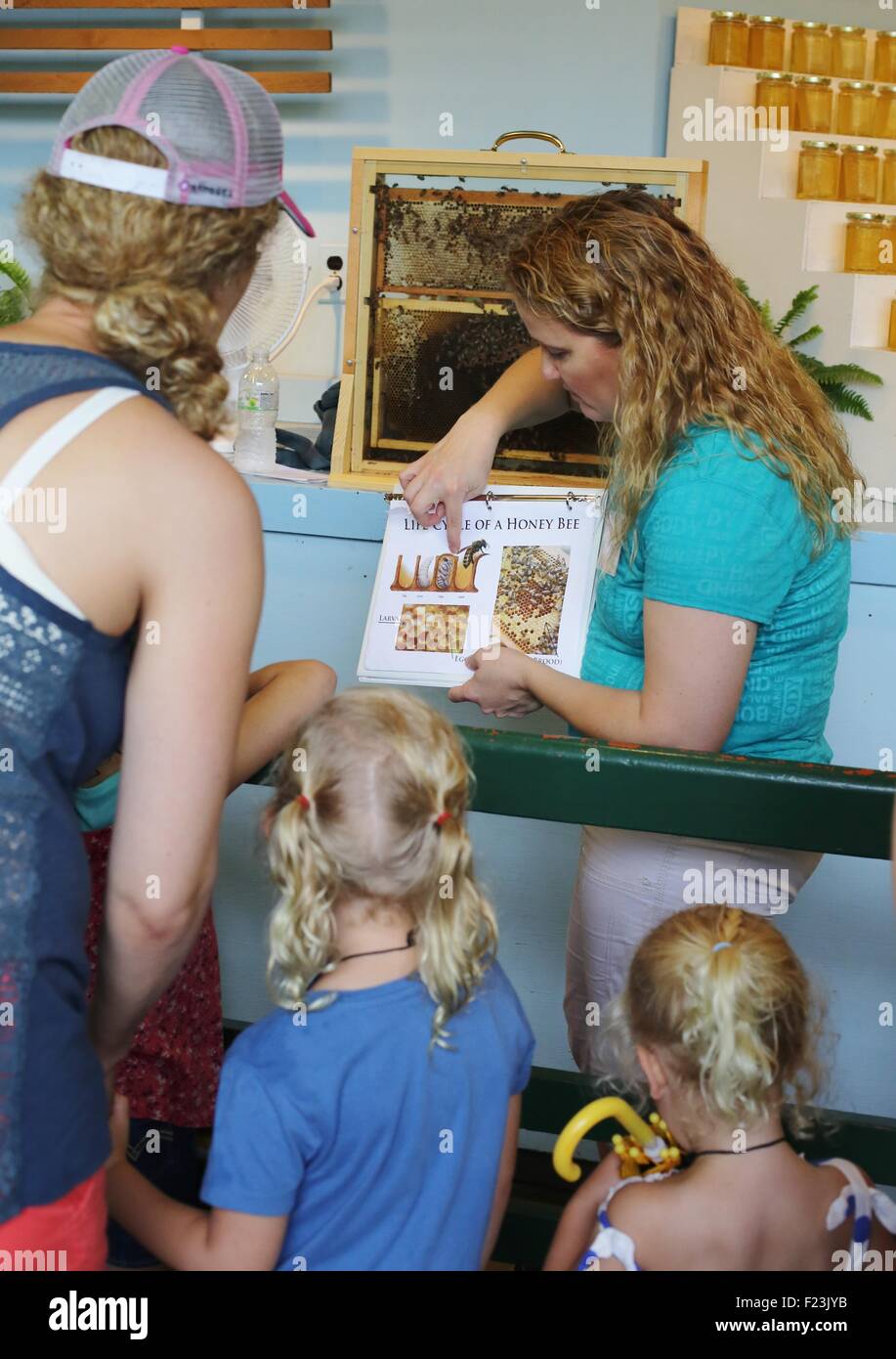 Una donna di insegnare a un gruppo di persone circa l'apicoltura presso la Minnesota State Fair. Foto Stock