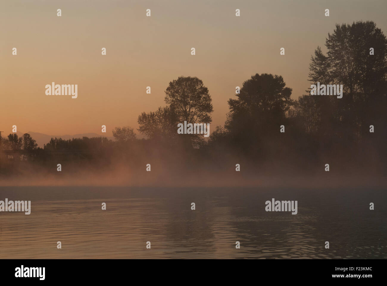 Alba sul fiume Snohomish, Snohomish, Washington Foto Stock