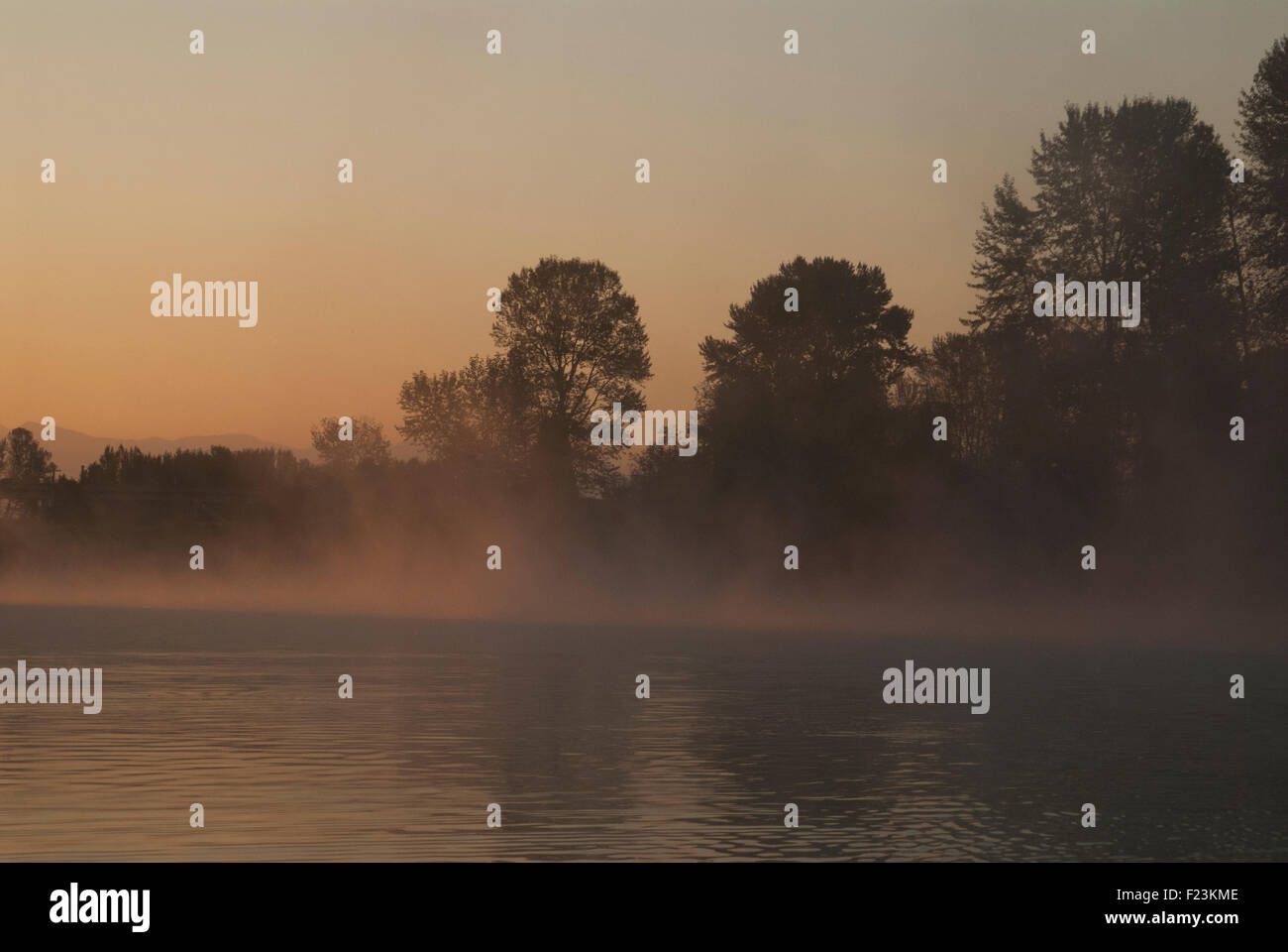 Alba sul fiume Snohomish, Snohomish, Washington Foto Stock