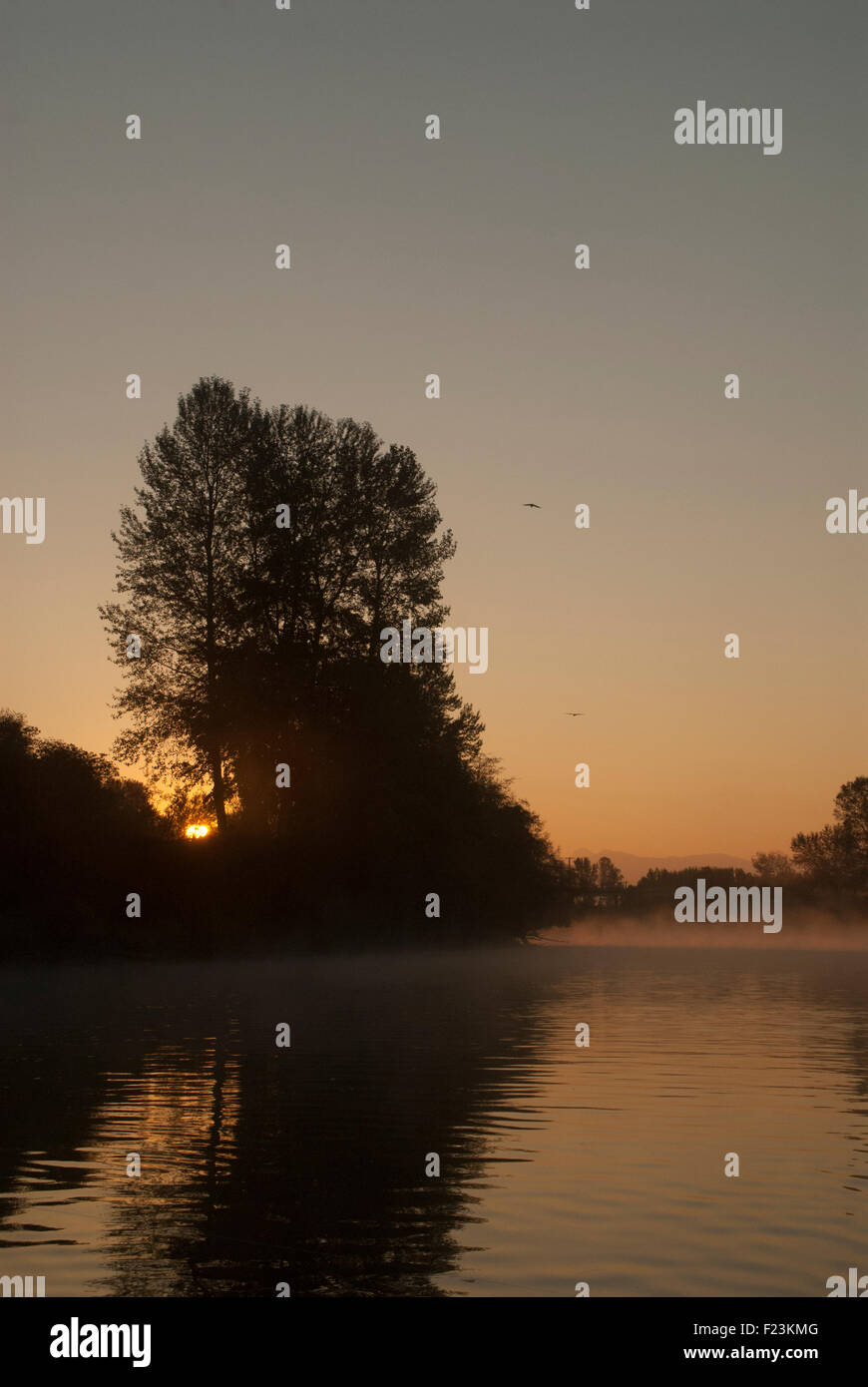 Alba sul fiume Snohomish, Snohomish, Washington Foto Stock