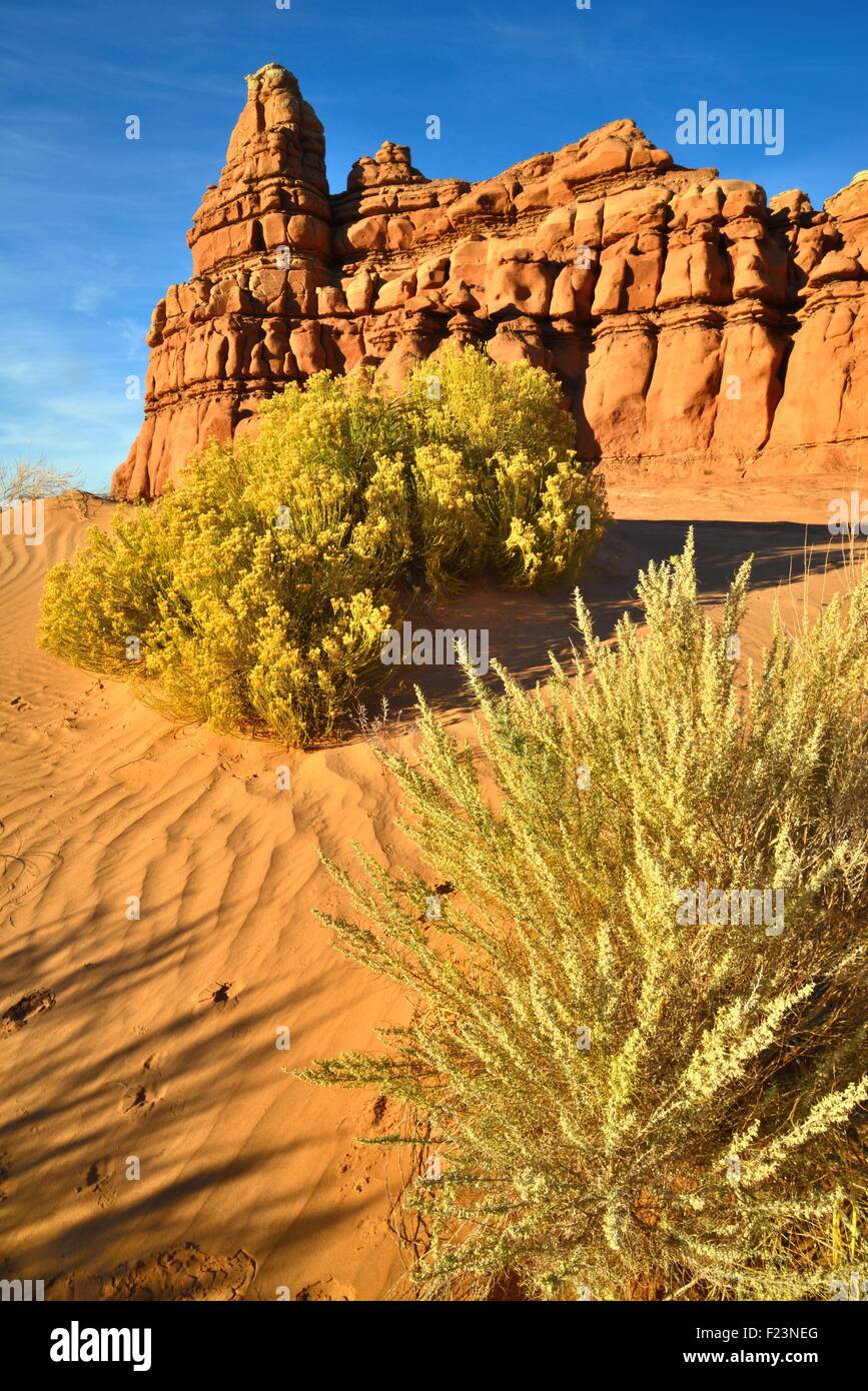 Castello come formazioni rocciose lungo l'autostrada 24 vicino a Hanksville, Utah, nella città di San Rafael deserto. Foto Stock