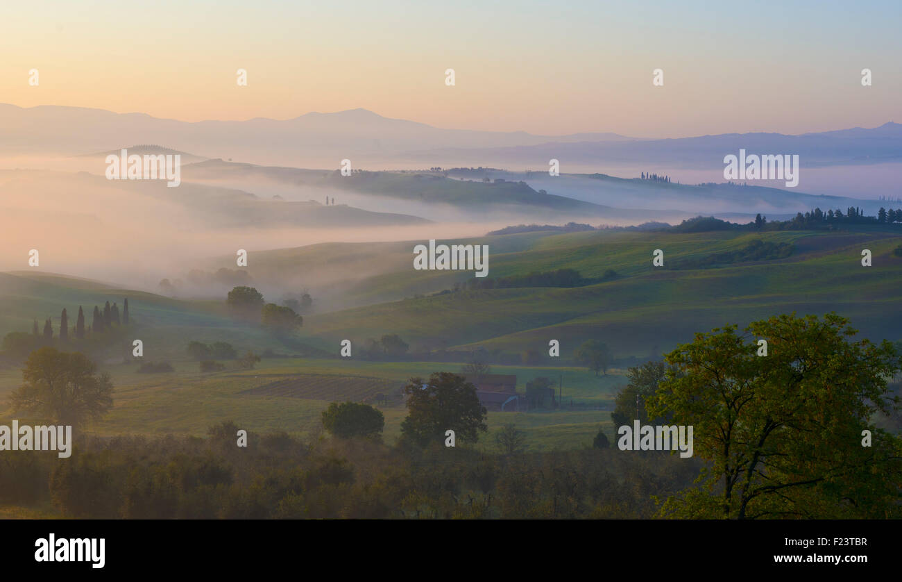 Foggy sunrise nella valle, Val d'Orcia, Toscana, Italia Foto Stock
