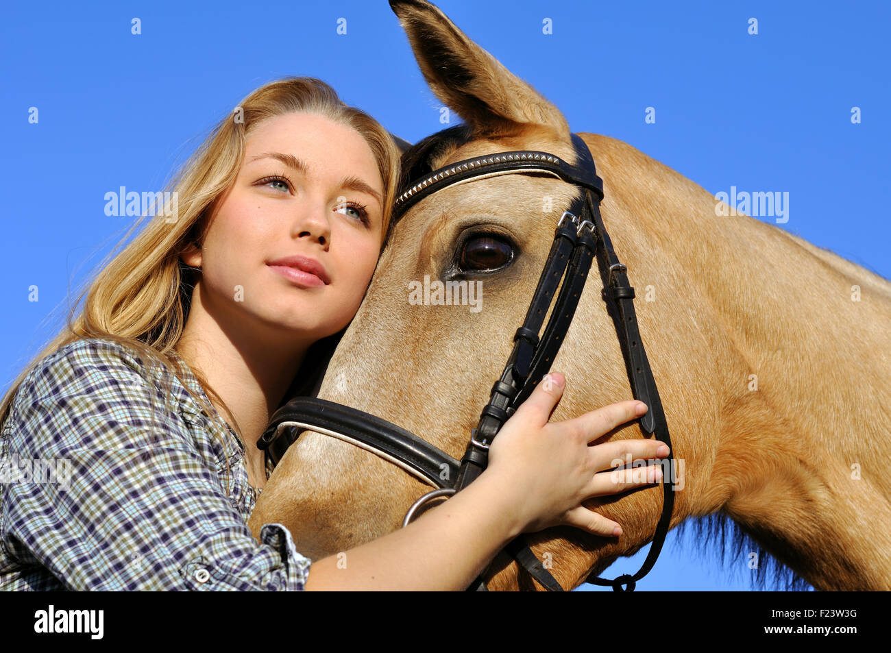 Ritratto di ragazza adolescente e cavallo Foto Stock