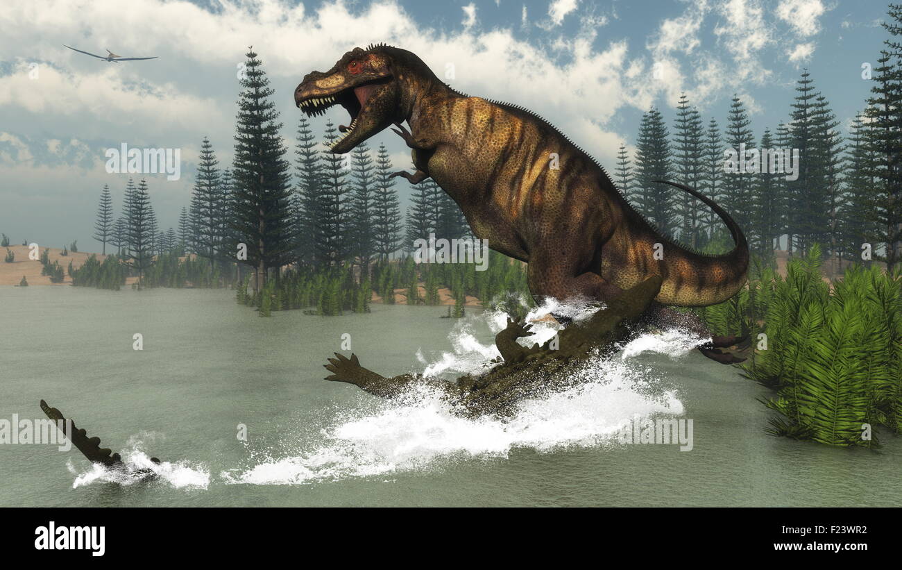 Tyrannosaurus rex dinosauro attaccato dal coccodrillo deinosuchus vicino a calamite alberi e piante nipa per giorno - 3D render Foto Stock