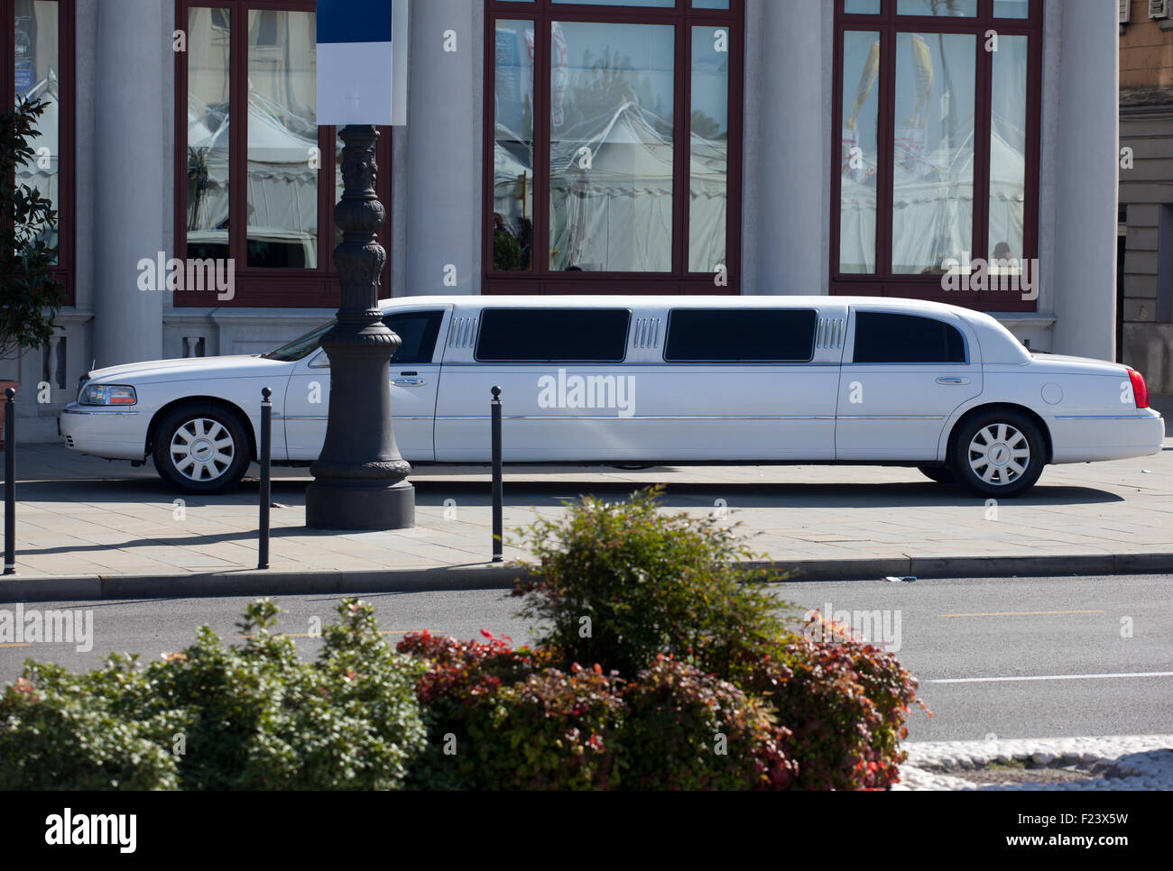 Limousine Bianca sulla strada Foto Stock