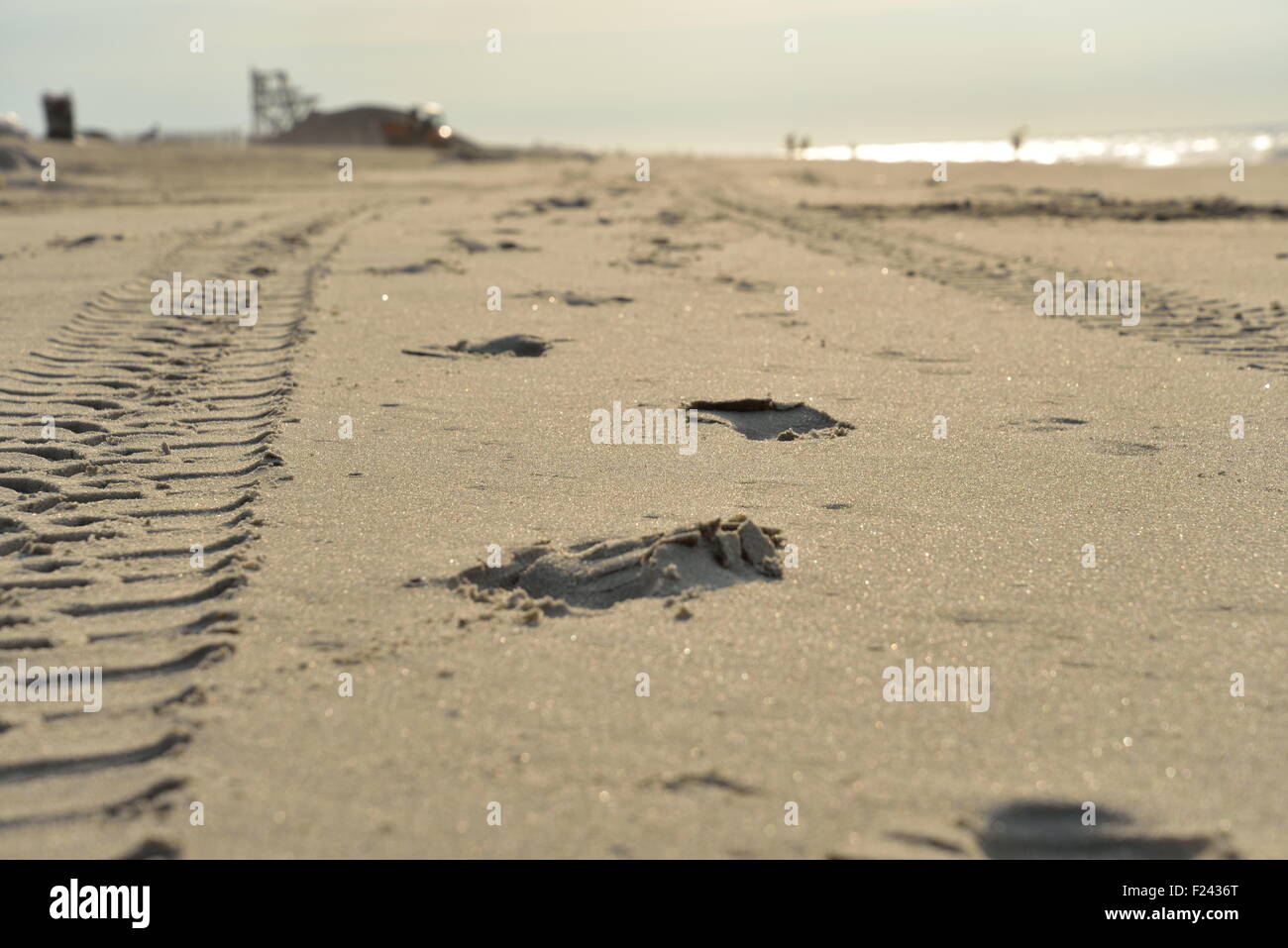 Orme di uomini e macchine su Jones Beach di sunrise Foto Stock