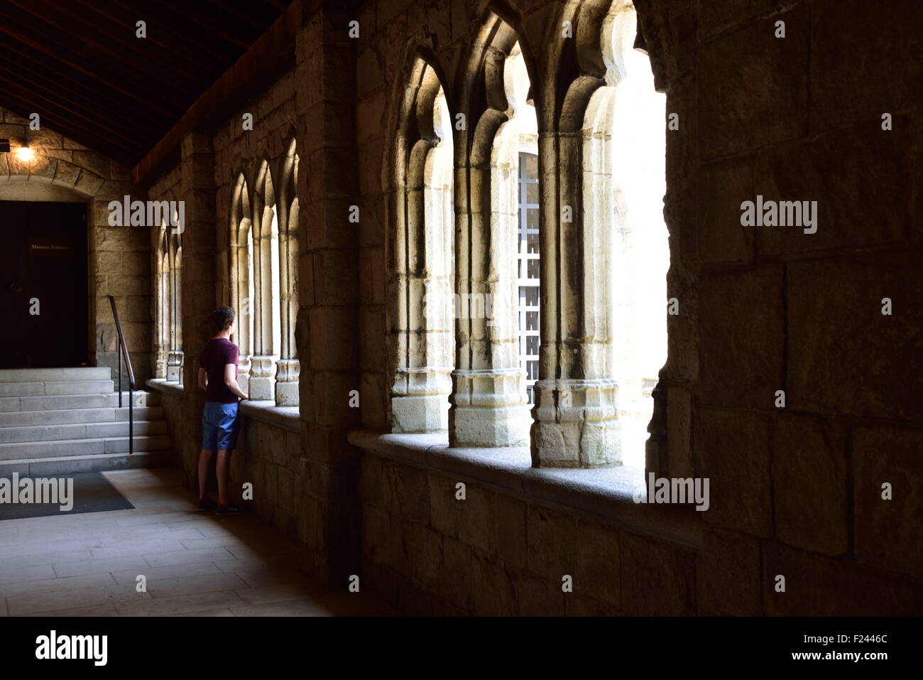 Uno di pugno cloysters all'interno del museo di storia naturale edificio separato in uptown di Manhattan Foto Stock
