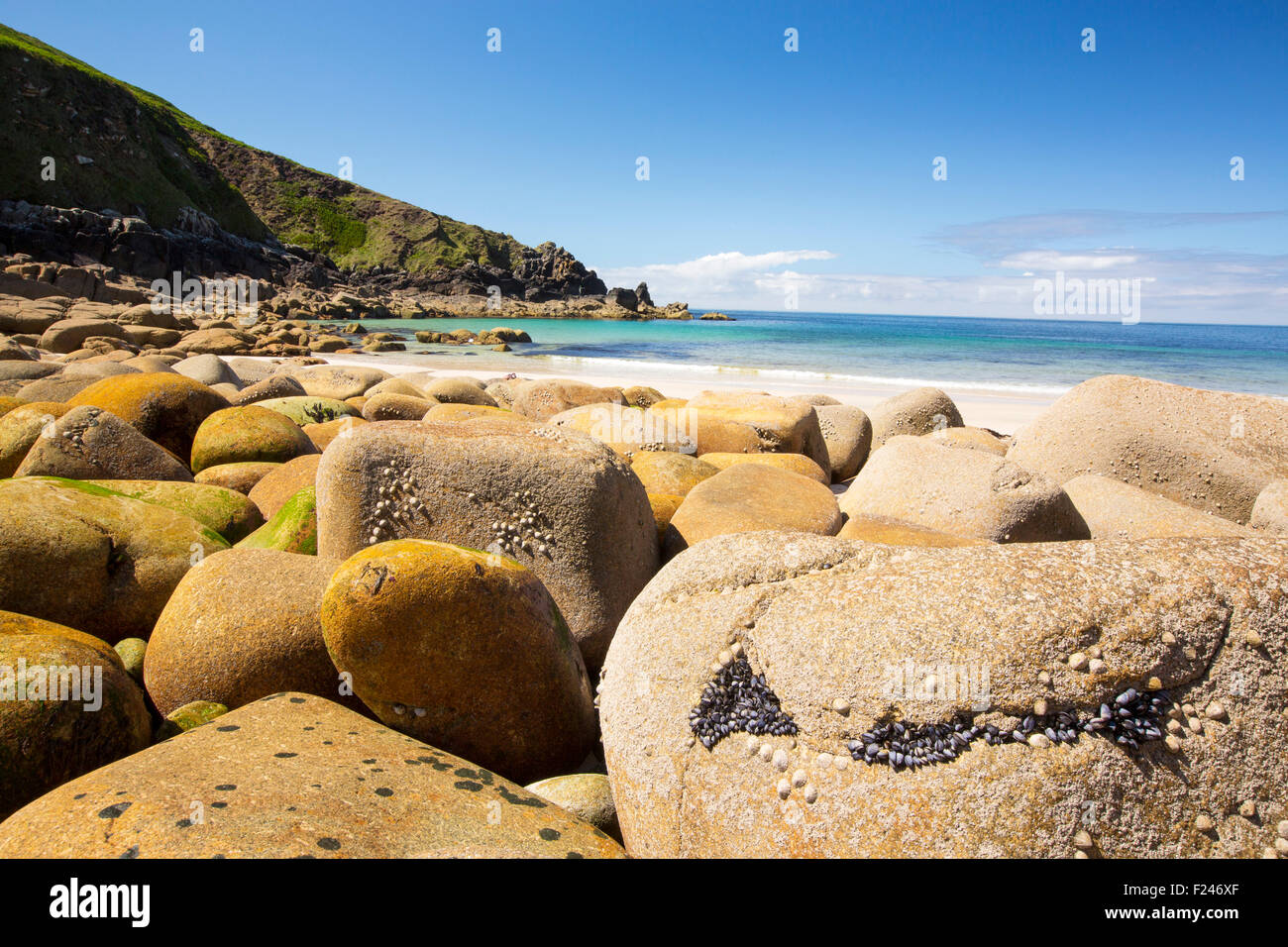 Weathered massi di granito sulla spiaggia di Porthmeor Cove, in Cornovaglia costa a Nord, Regno Unito, con patelle e cirripedi. Foto Stock