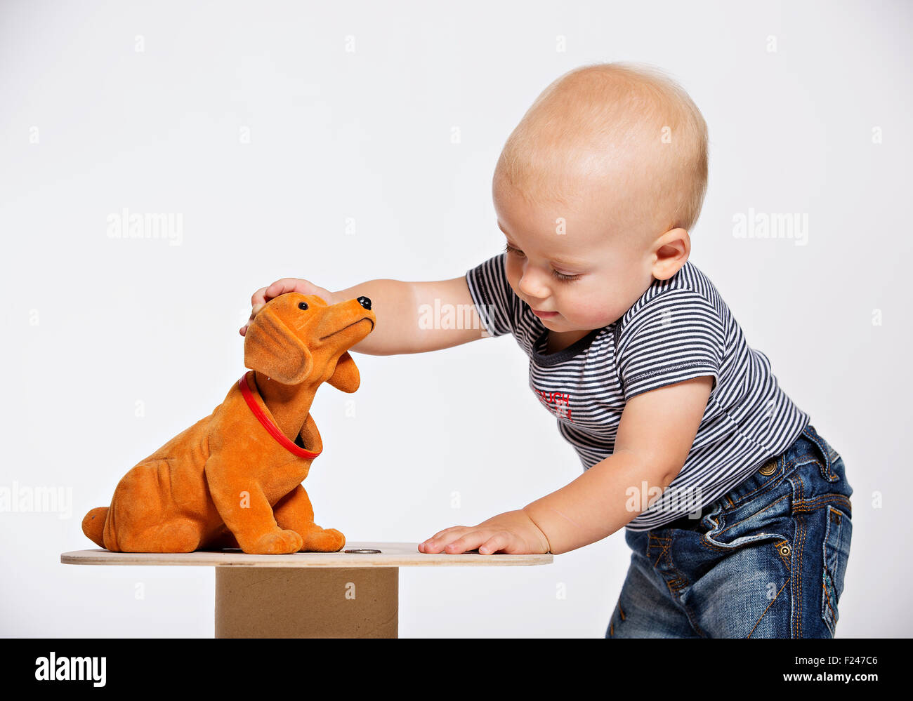 1-anno-vecchio figlio, un anno, 1° anno, giocattolo Foto Stock
