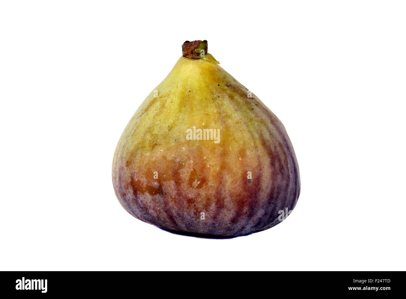 Un maturo fig frutto generalmente coltivato nei tropichi indiano, isolato su sfondo bianco. Foto Stock