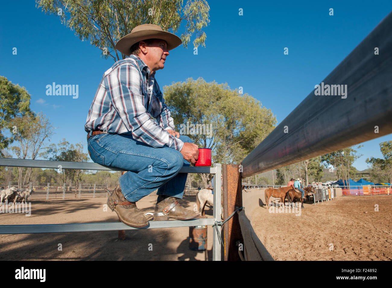 Stockman guardando la bussola gare, rodeo e campdraft a Eureka Creek Rodeo, Queensland del Nord, Australia Foto Stock