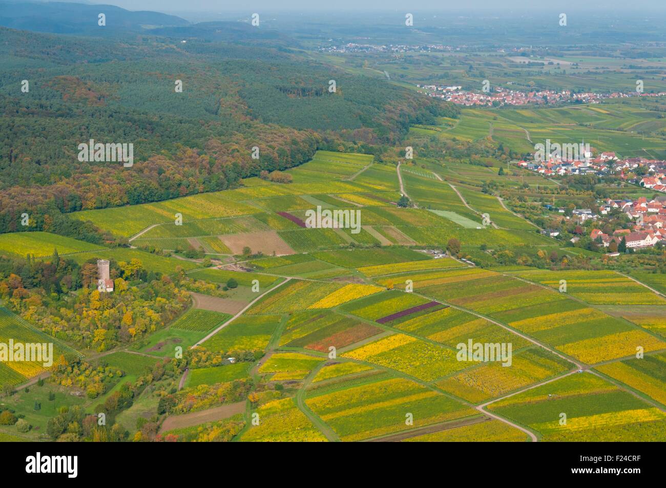 In Germania, in Renania Palatinato, Schweigen-Rechtenbach vigneti in autunno (vista aerea) // Allemagne, Rhenanie-Palatinat, Schwei Foto Stock