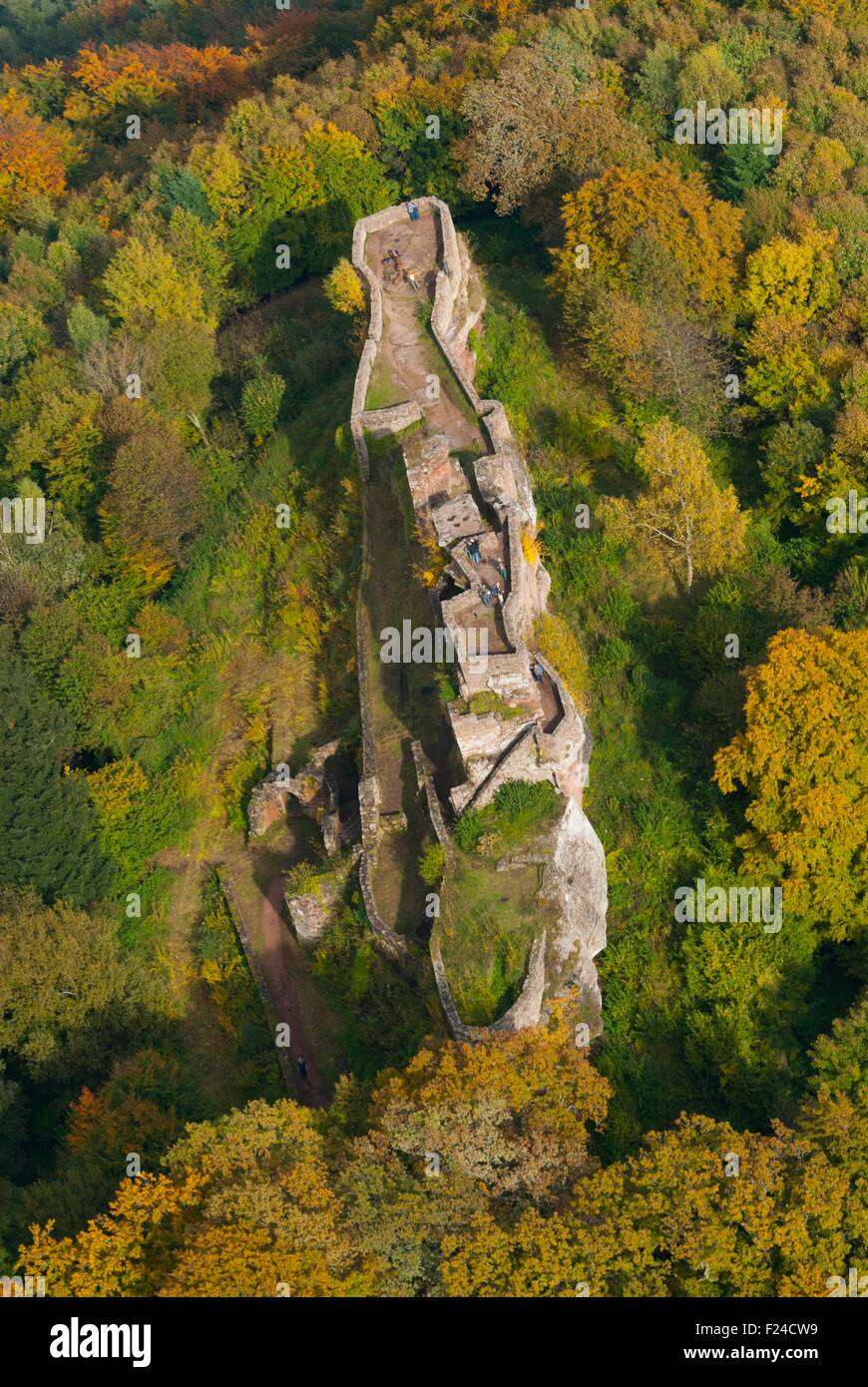 In Germania, in Renania Palatinato, Schonau, Wegelnburg CASTELLO (vista aerea) //Allemagne, Rhenanie-Palatinat, Schonau, Chateau du Ho Foto Stock