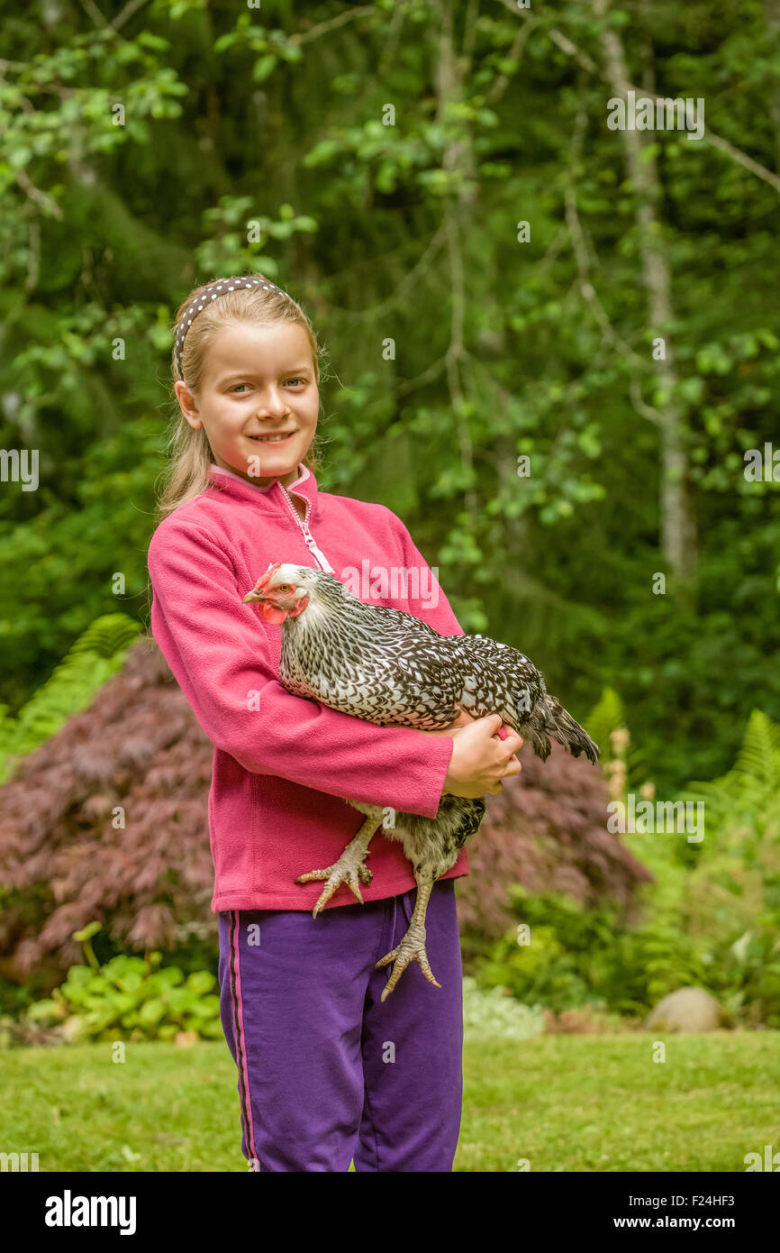 Undici anni di ragazza con il suo argento-allacciato Wyandotte pollo in Issaquah, Washington, Stati Uniti d'America Foto Stock