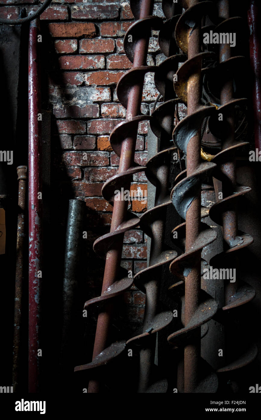 Coclee di grandi dimensioni o punte magra contro in rosso di un muro di mattoni, inondati di ombre Foto Stock
