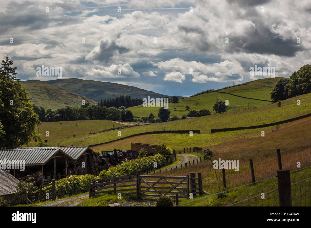 Selkirk di colline e fattorie Foto Stock