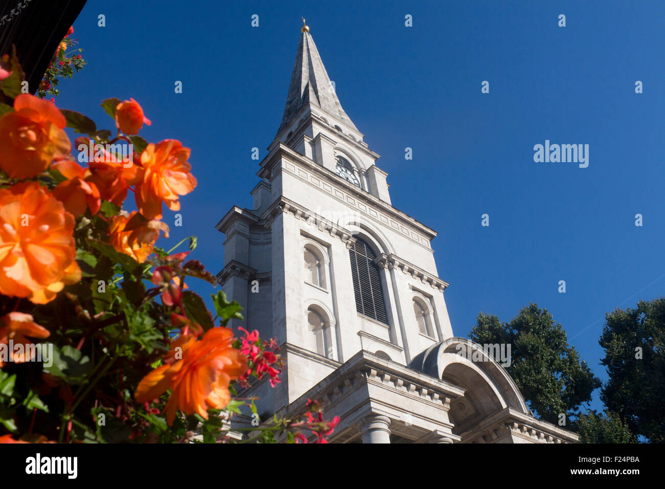 La Chiesa di Cristo Spitalfields tower con fiori in primo piano East End di Londra Inghilterra REGNO UNITO Foto Stock