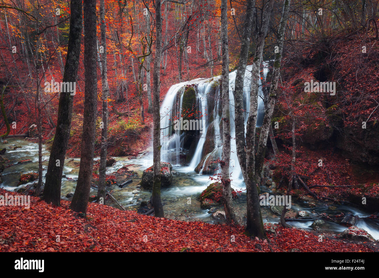 Bella cascata nella foresta di autunno in Crimea montagne al tramonto. Flusso d'argento la cascata nel Grand Canyon di Crimea. Foto Stock