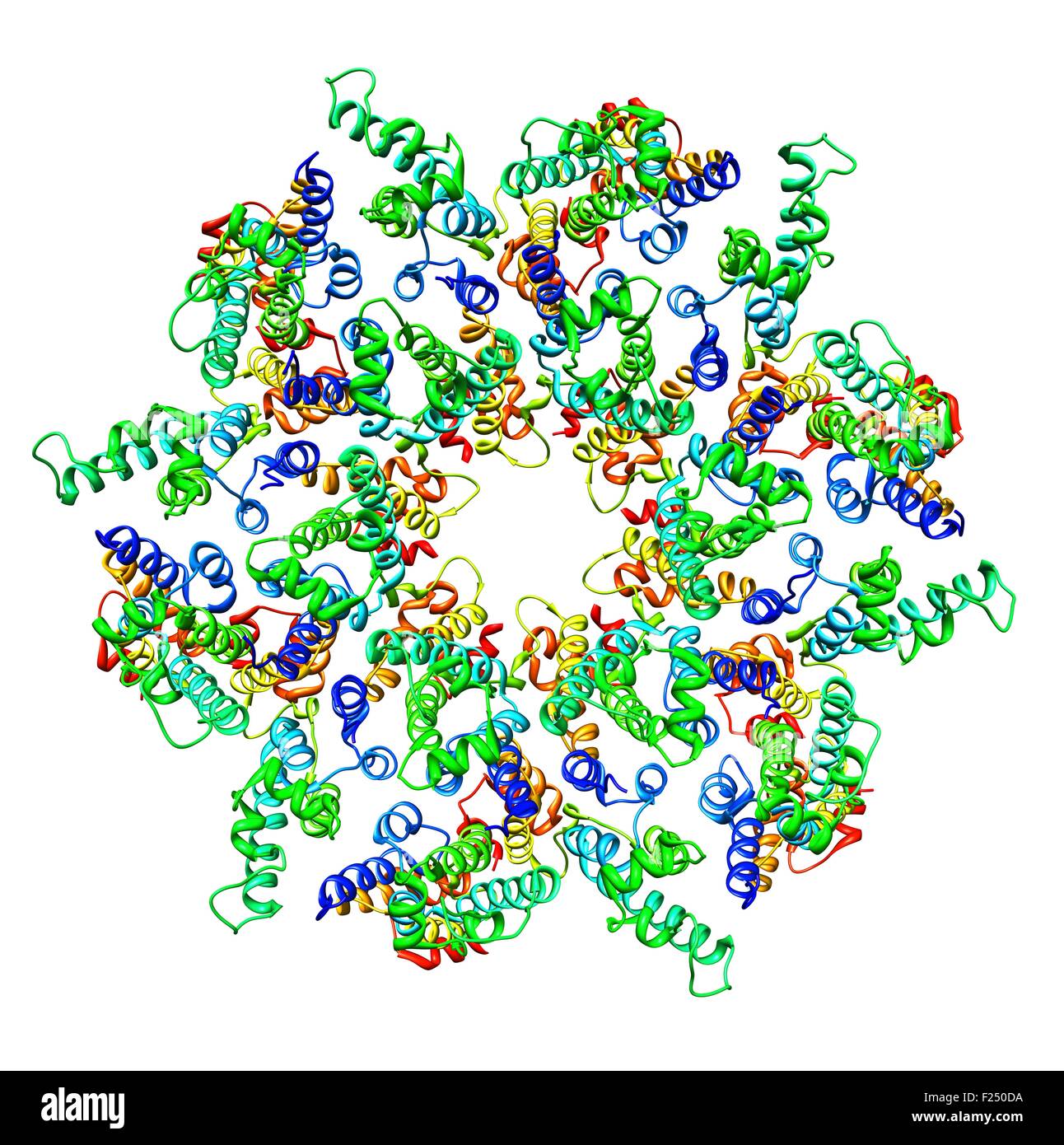 Vista frontale di una rappresentazione molecolare di un immaturo del virus da immunodeficienza umana di tipo 1 (HIV-1) nel capside un intatto di particelle di virus. Poliproteina assembla in una proteina esamerica traliccio alla membrana di plasma della cellula infettata, indurre germogliando e rilascio di una particella immaturi.portando a riarrangiamento interno del virus nella coppia, forma infettiva. Foto Stock