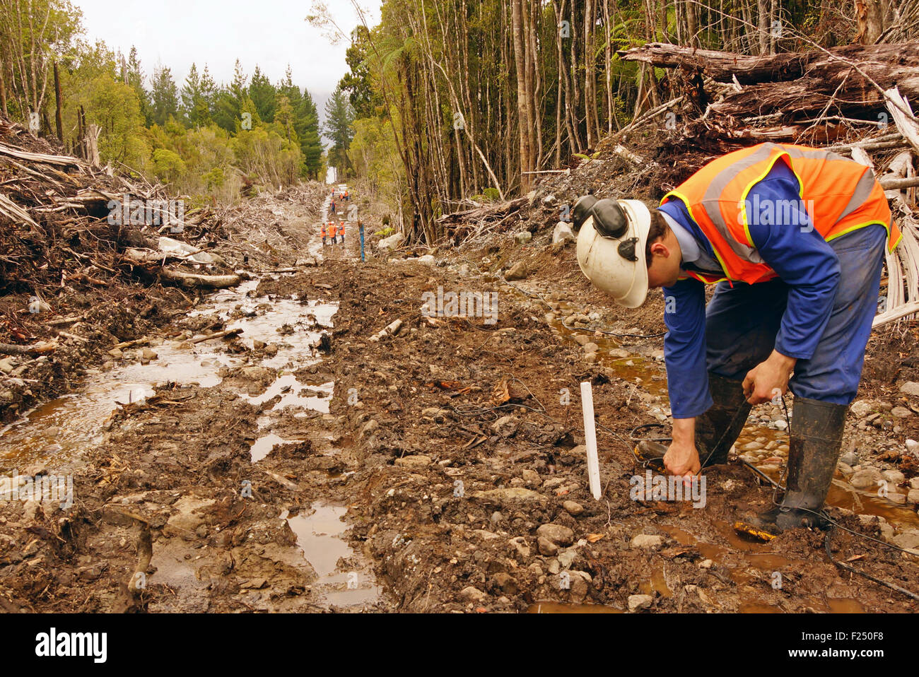 Gli uomini immissione geofoni nel terreno per una riflessione sismica indagine sulla costa ovest della Nuova Zelanda Foto Stock